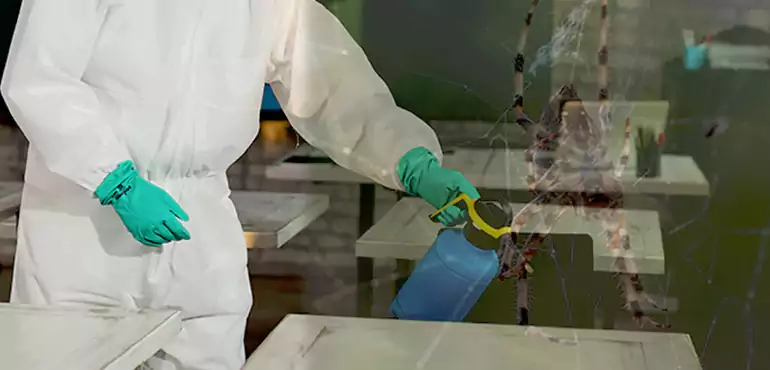 Why Buyers Still Want Homes With Pest Infestations in Oakland, CA?