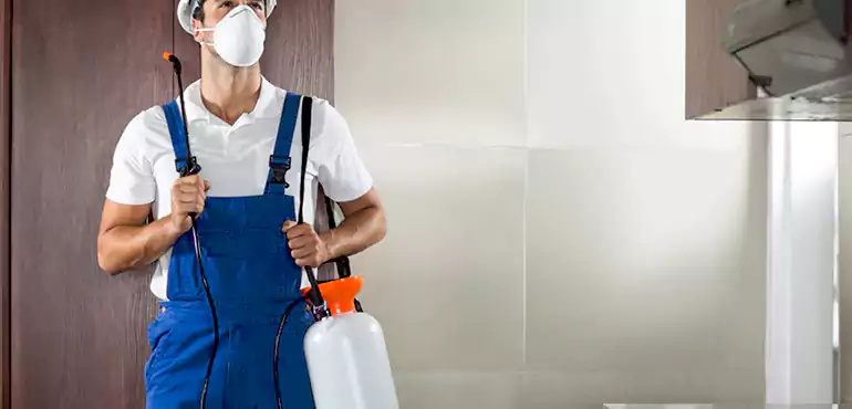 Why Oakland Homeowners Choose Us When Pests Make Selling Difficult
